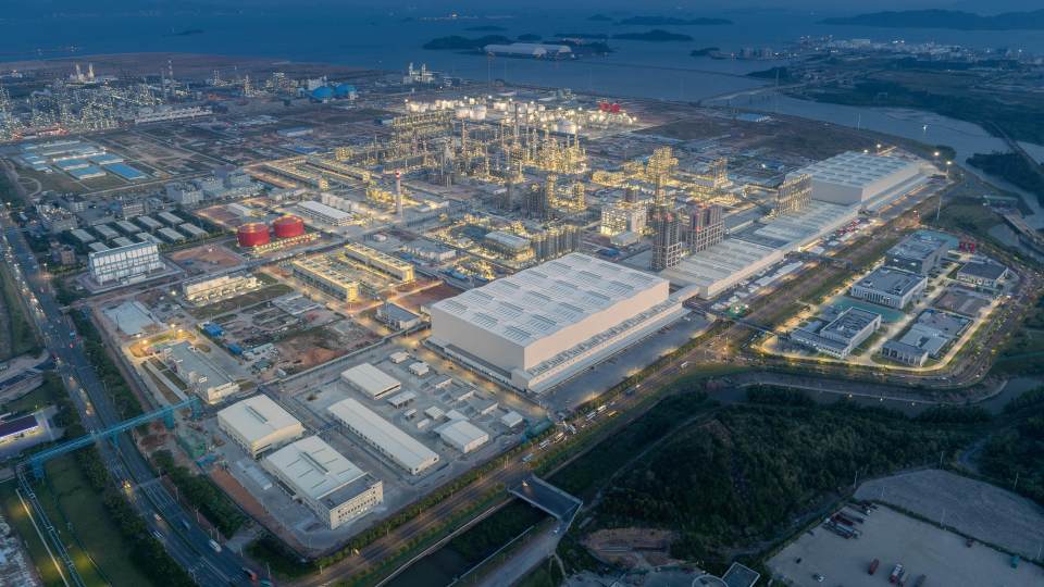 诚运动, 的爱好者和