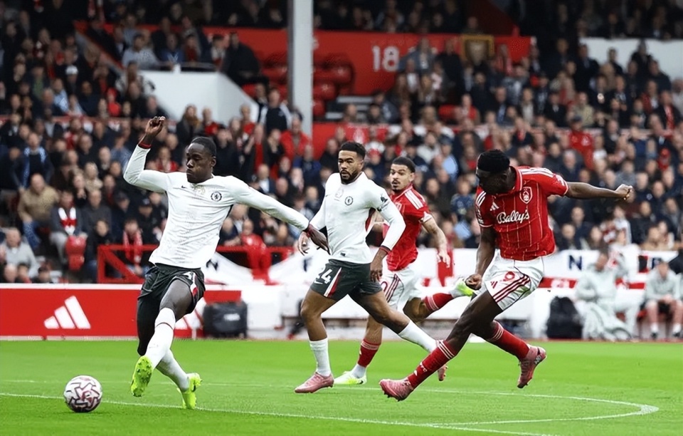 他们不等待, Phf